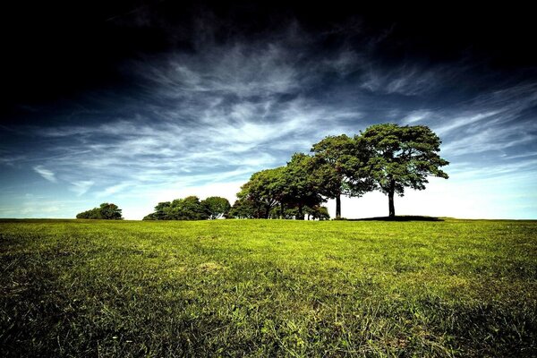 Düsterer Himmel und grünes Gras