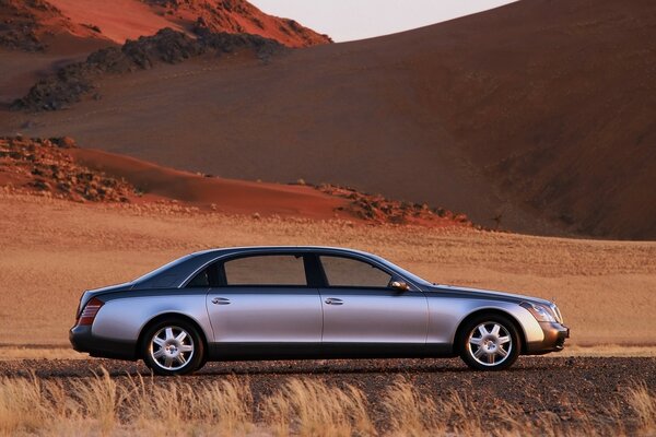 A car in the yellow desert on the road