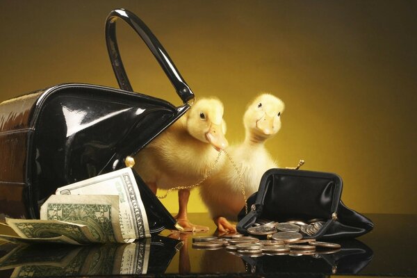 Two ducklings and a bag of money