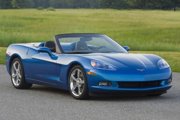 A blue sports car without a roof on the road next to a green field