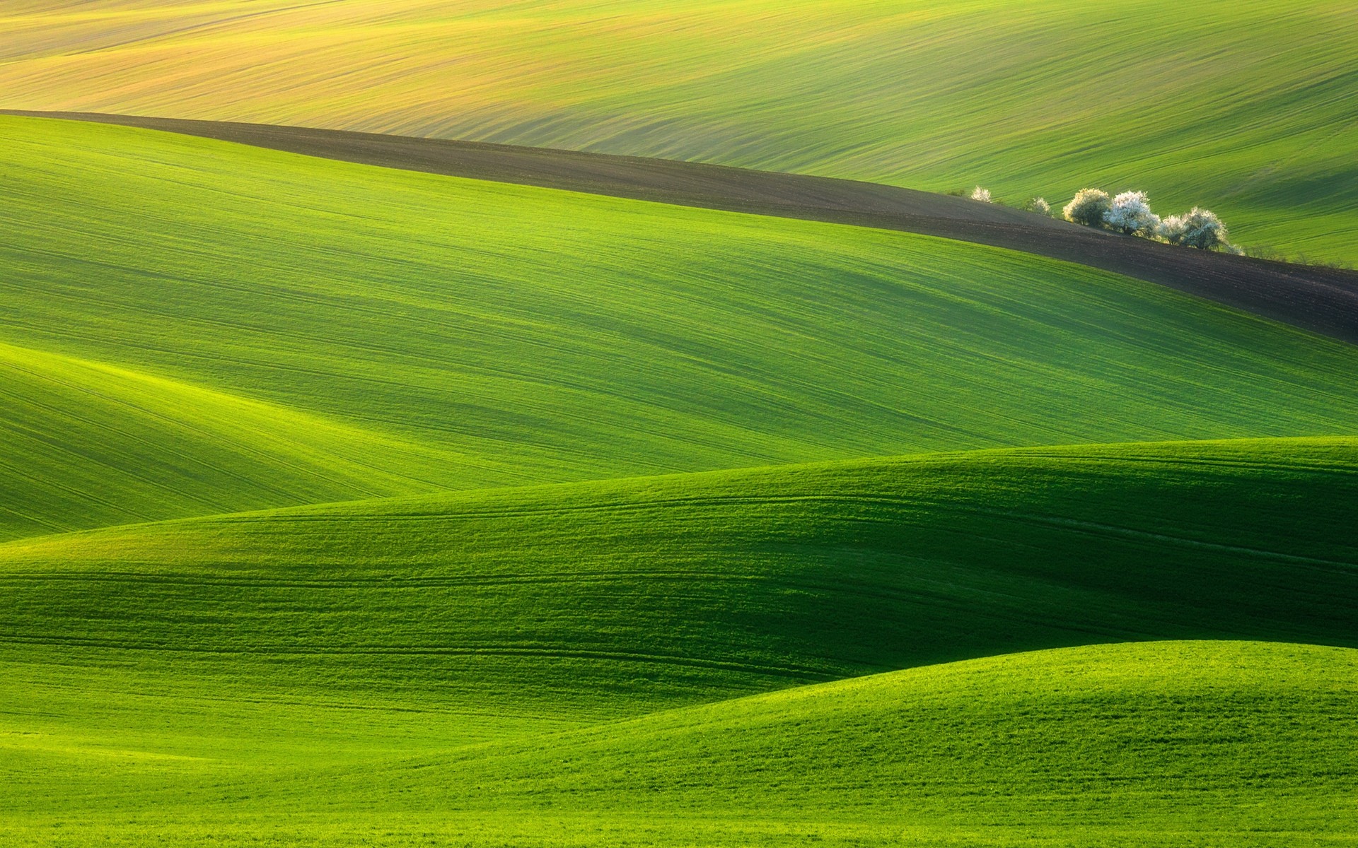 paysage rural campagne herbe nature paysage pâturage été champ agriculture terres agricoles beau temps ferme aube soleil à l extérieur lumineux sol foin fond collines vertes