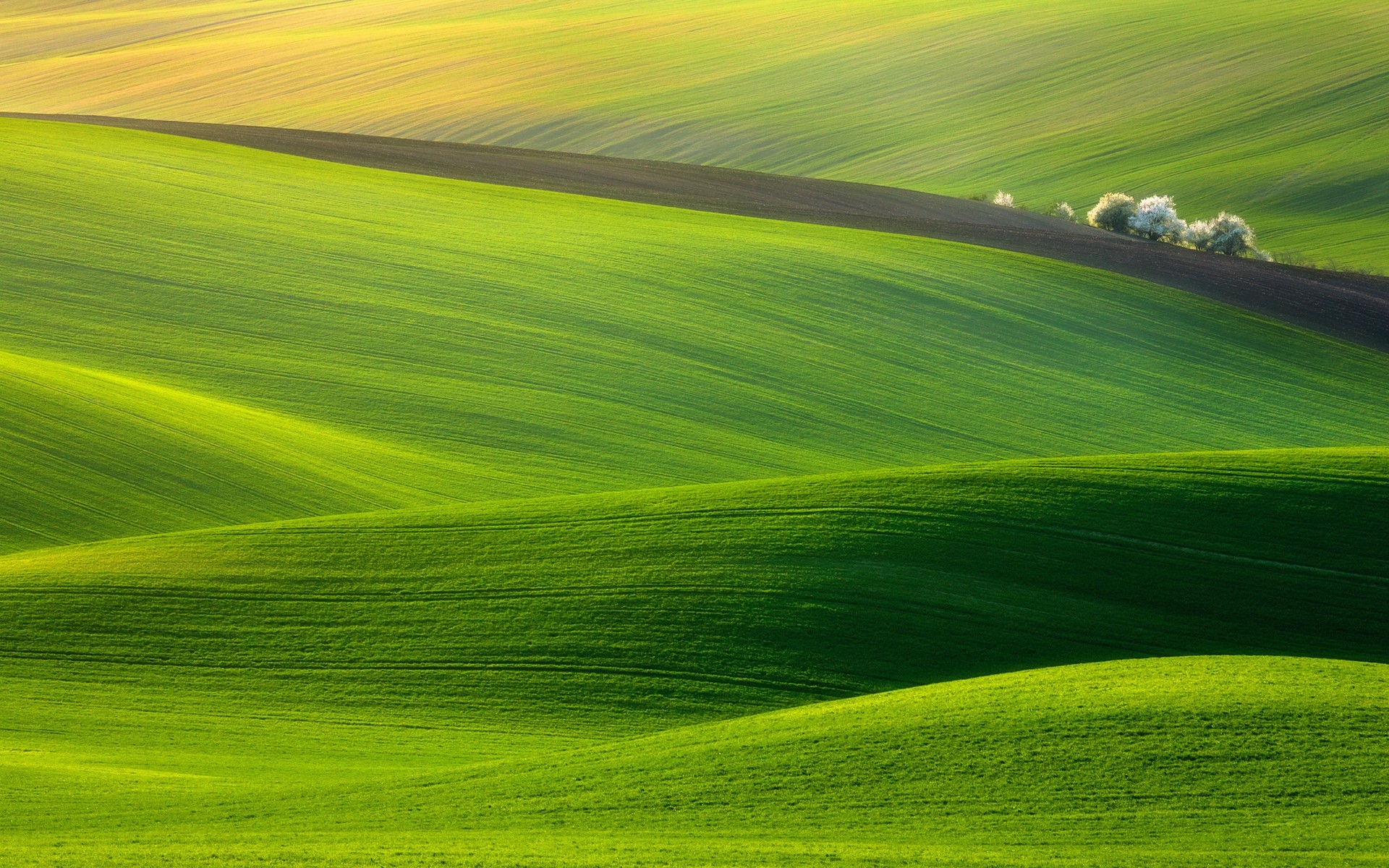 landscapes rural countryside grass nature landscape pasture summer field agriculture farmland fair weather farm dawn sun outdoors bright soil hayfield background green hills