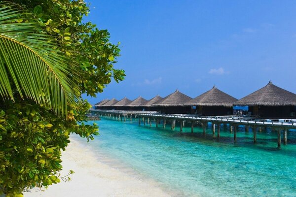 Station balnéaire tropicale avec mer d Azur et plage de sable fin