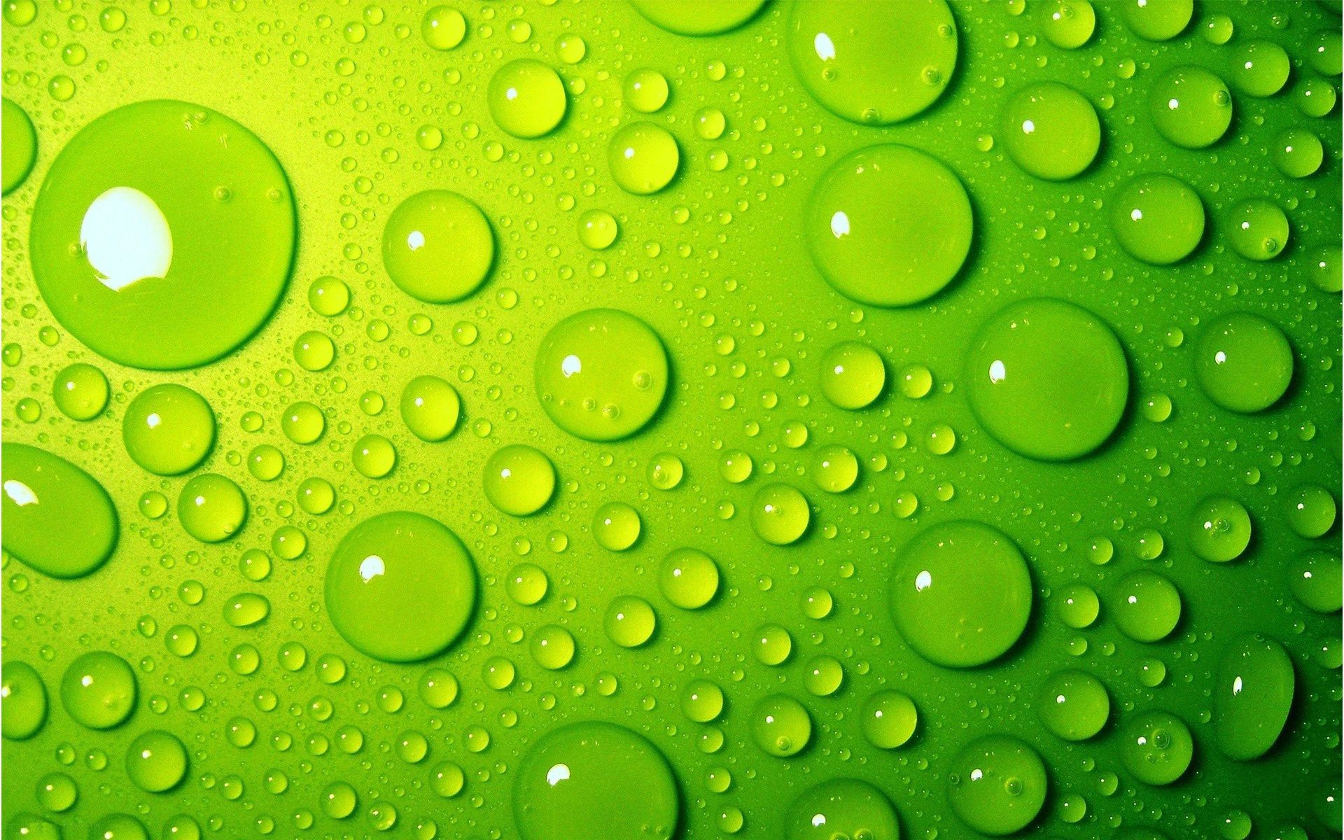 droplets and water drop dew droplet rain wet splash bubble water liquid clean desktop color raindrop round