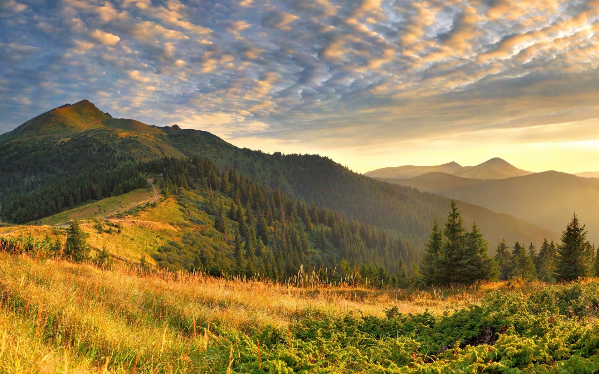 hügel berge landschaft reisen im freien sonnenuntergang natur herbst schnee dämmerung himmel tal abend nebel holz