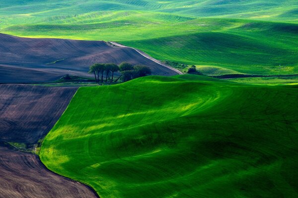 Plowed land and a green blanket nearby