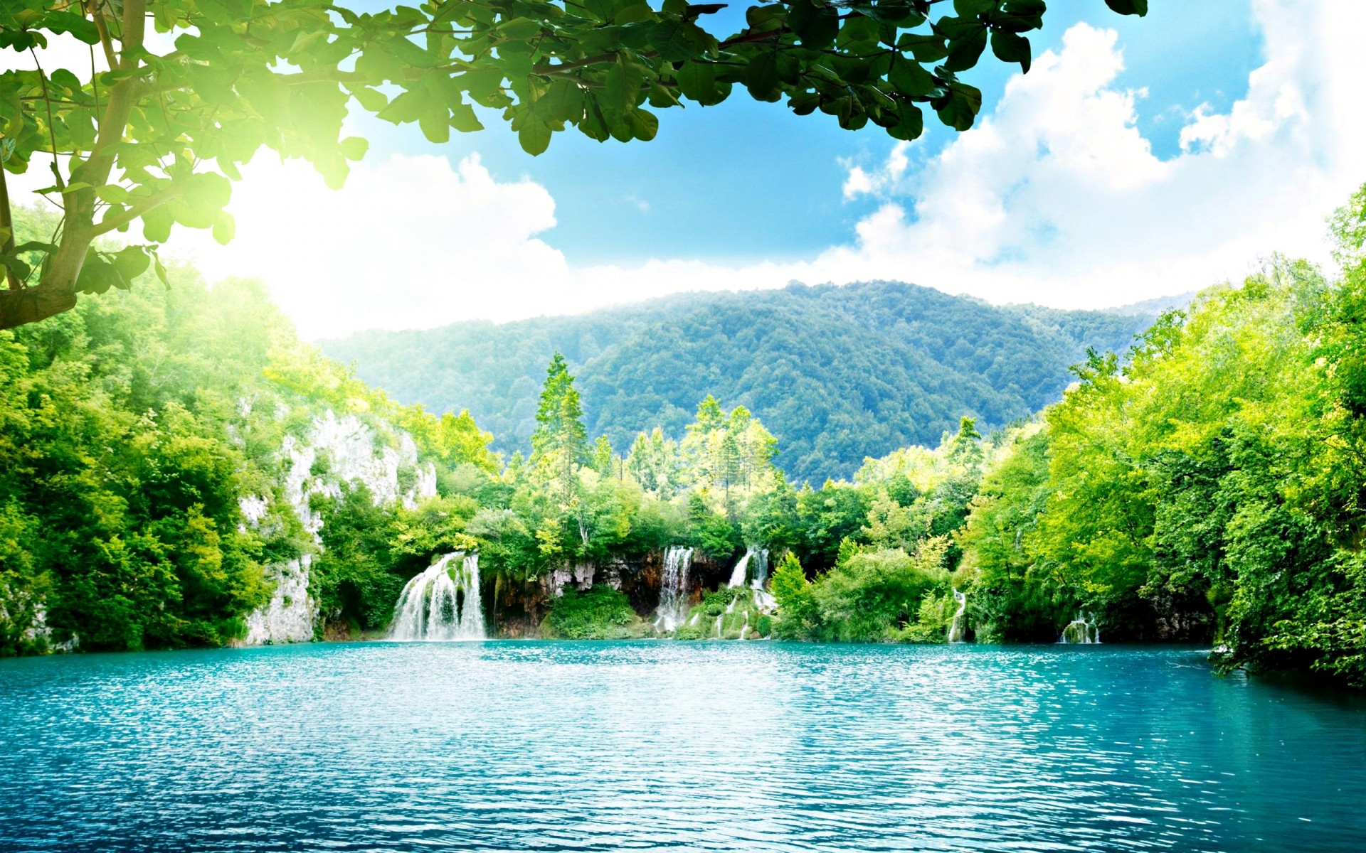 landscapes water nature wood tree summer travel river lake tropical landscape outdoors leaf scenic beautiful idyllic park sight composure paradise forest