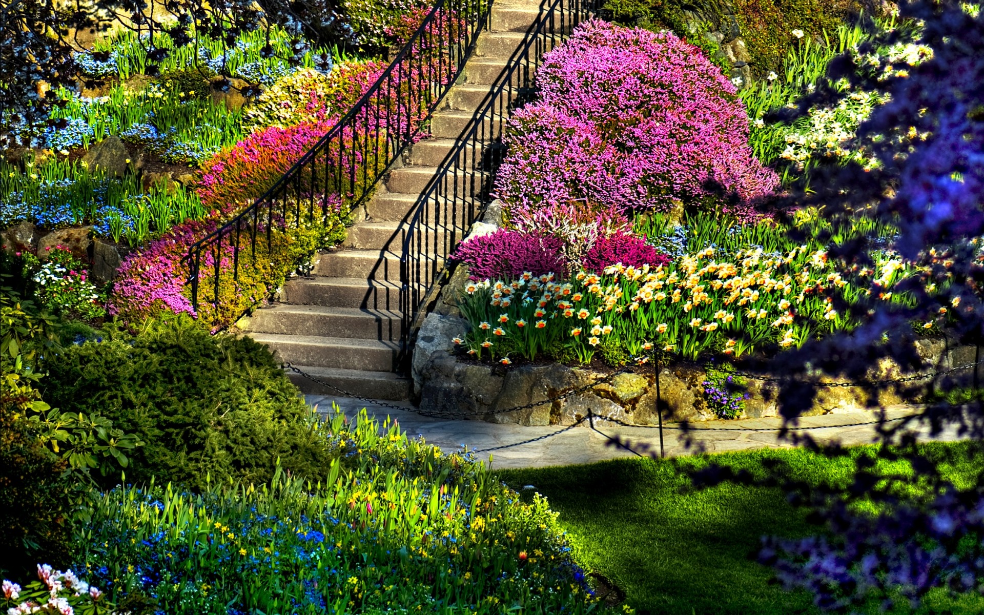 landschaft blume garten natur flora baum park blatt im freien sommer wachstum rasen saison farbe blühen strauch botanisch gras führung hof