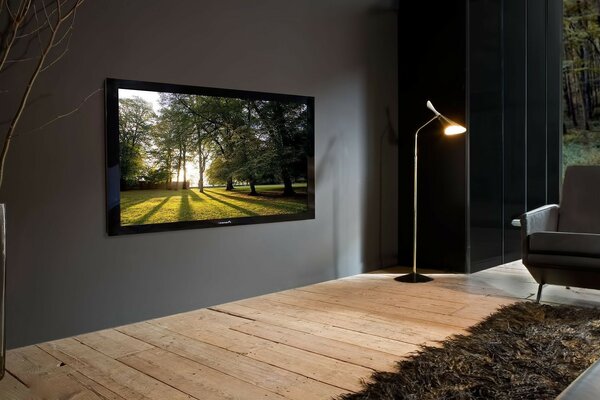 Wooden room with TV