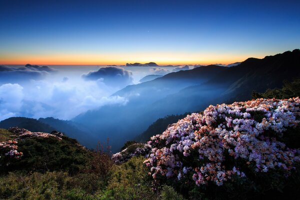 Blooming mountains in clouds at sunset