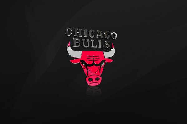 Chicago Bulls emblem on a black background