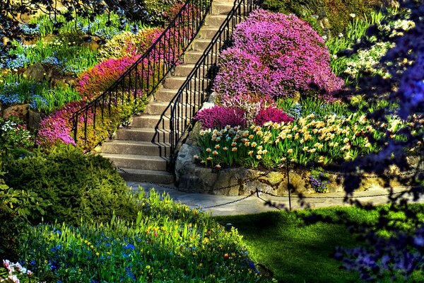 A bright landscape with a blooming garden and steps