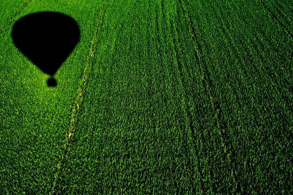 The shadow of a balloon on a green lawn