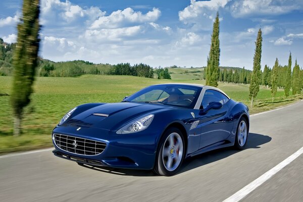 Auto Ferrari che corre lungo l autostrada lungo una fila di cipressi