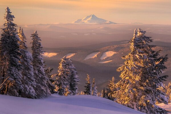 Landscape of snow-capped mountains with trees