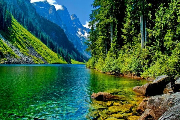 Summer landscape with mountains and lake