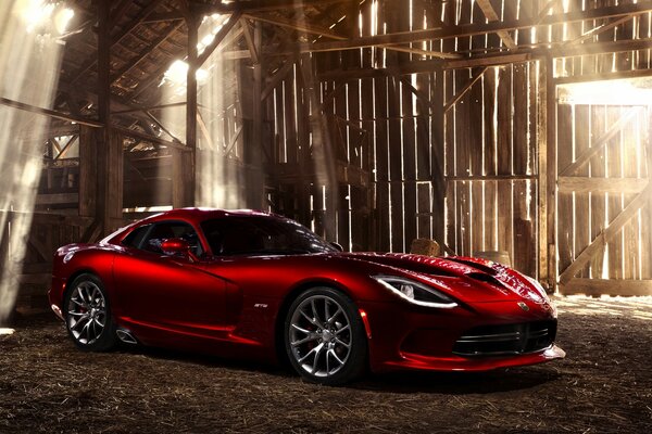 Rosso Auto sportiva dodge