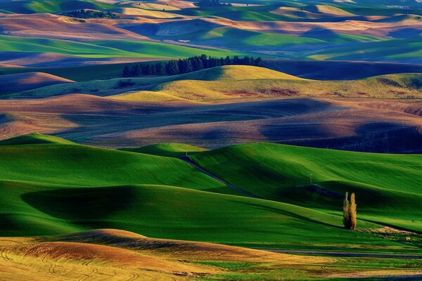 Landscape of green and yellow hills