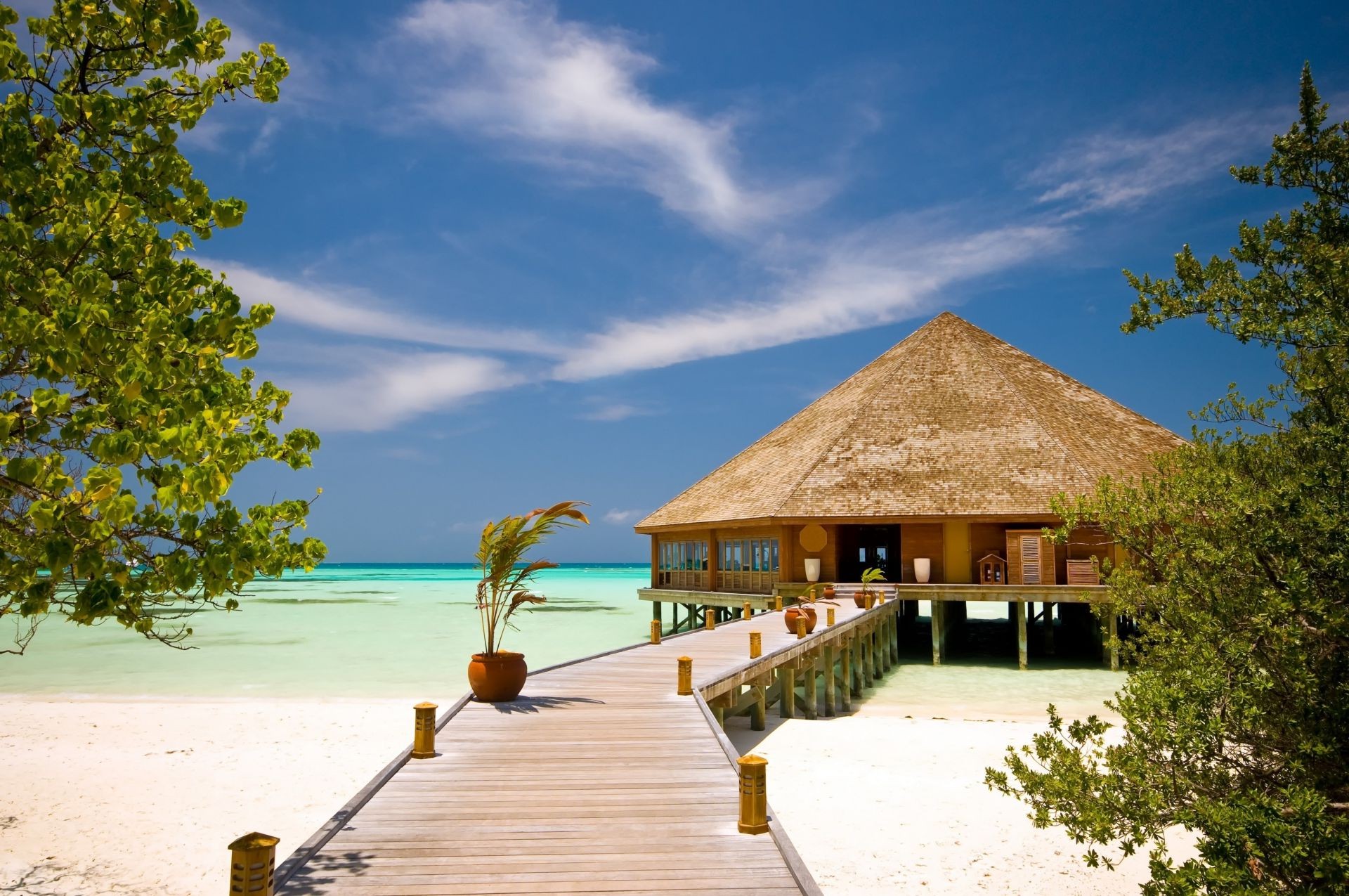 meer und ozean reisen sommer wasser holz tropisch im freien idylle baum strand ozean himmel urlaub resort sand