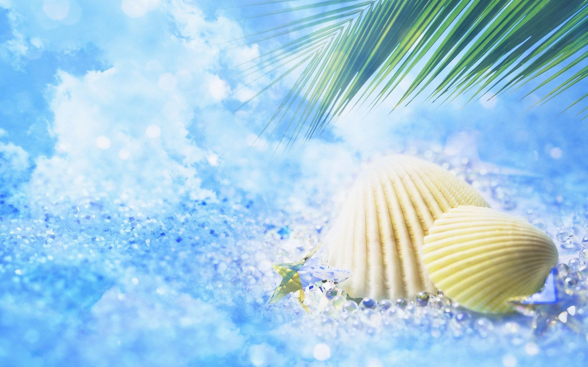 sommer im freien natur gutes wetter desktop himmel hell meer reisen schale sand