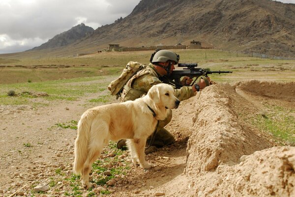 Soldato SWAT con fucile e cane al riparo