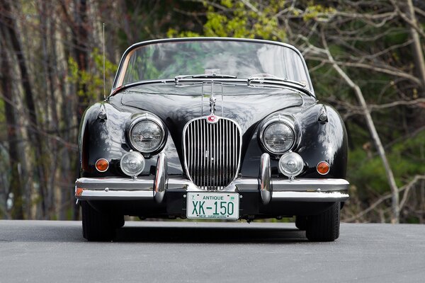 A black car on a gray road