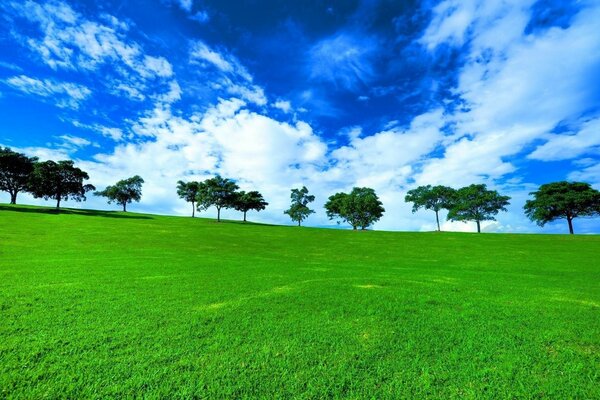 Landscape of grass against a blue cloudy sky