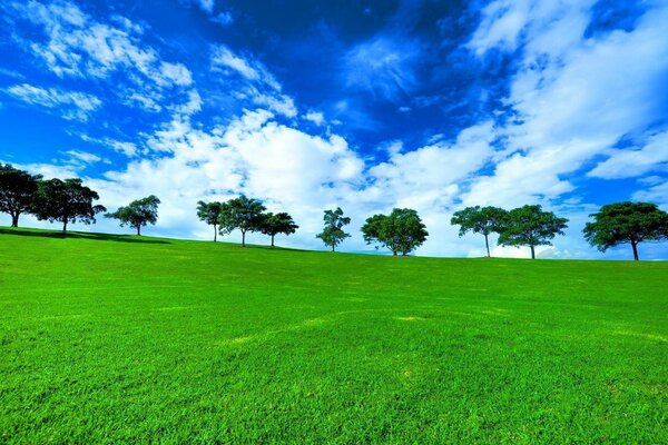 Paisagem de grama contra um céu nublado azul