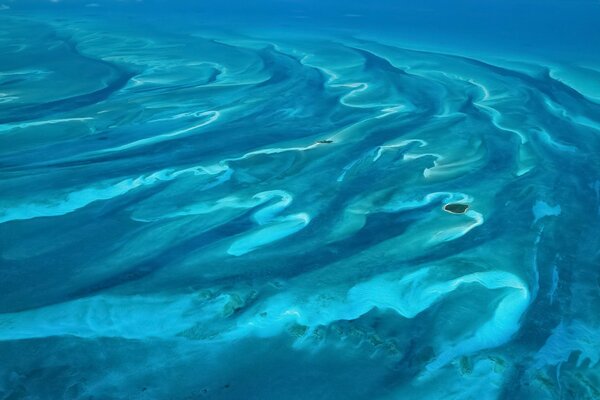 Fondo marino, agua limpia