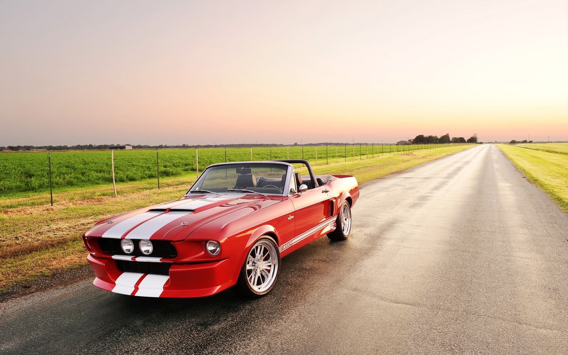 ford carro carro sistema de transporte asfalto drive estrada rápido apresse-se roda preto automotivo shelby shelby gt