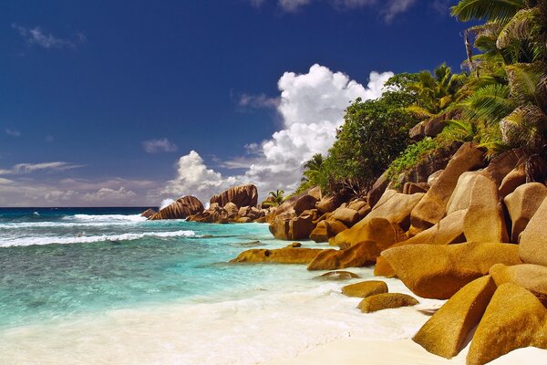 Paesaggio tropicale, spiaggia di sabbia