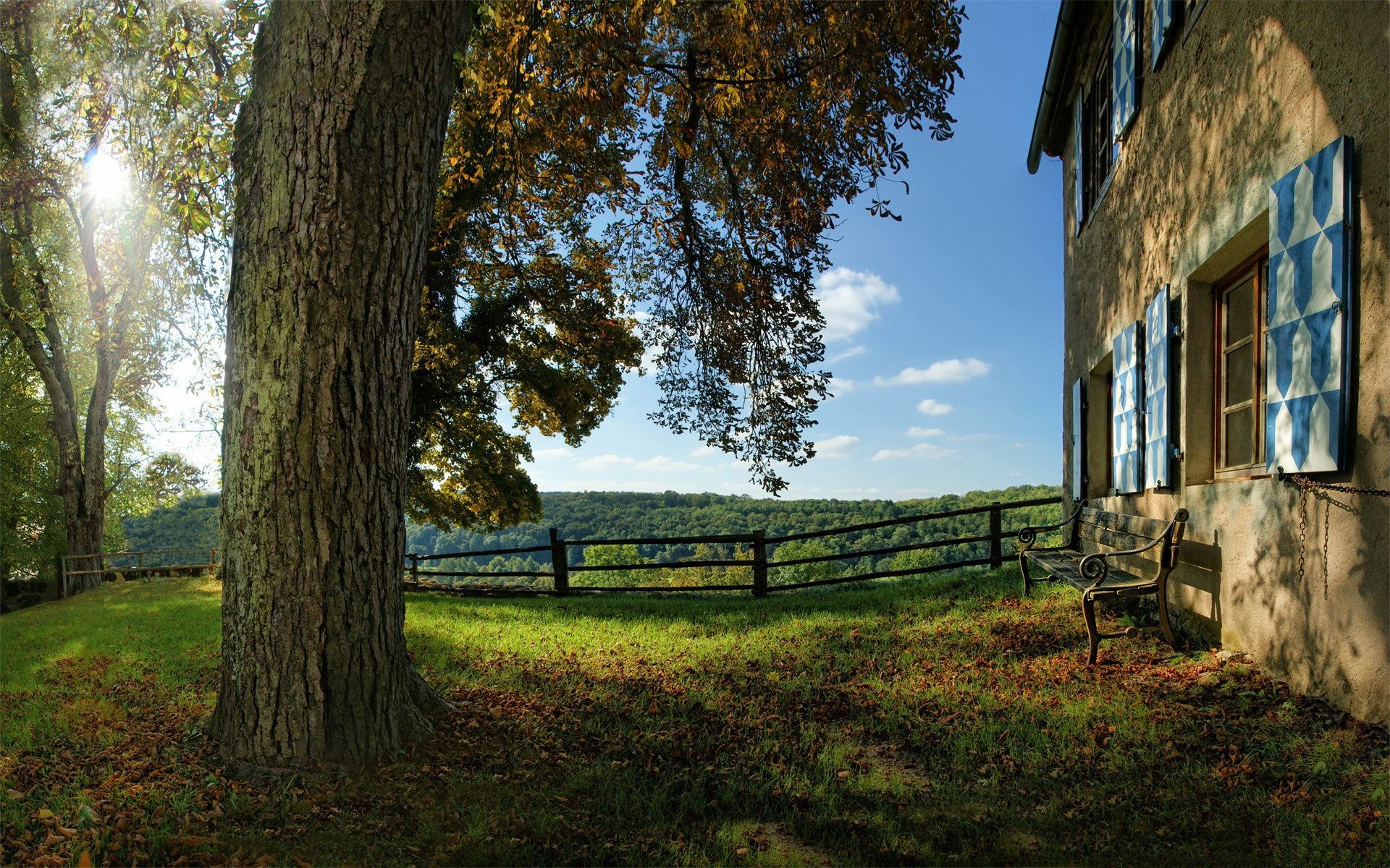 automne arbre bois à l extérieur nature paysage herbe ciel voyage automne lumière du jour été feuille lumière