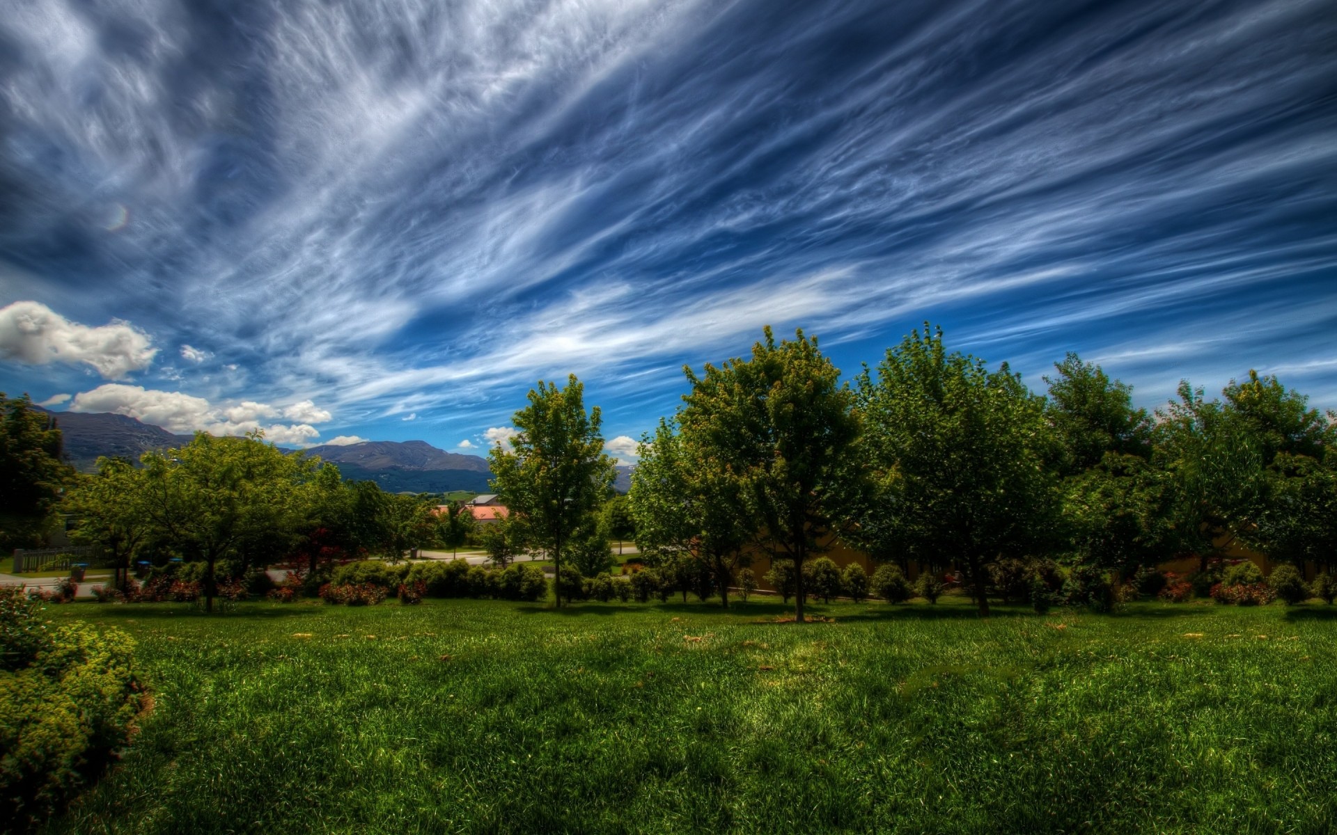 landschaft natur landschaft himmel gras des ländlichen raumes baum sommer im freien landschaft gutes wetter sonne hintergrund bäume drh grüner wald