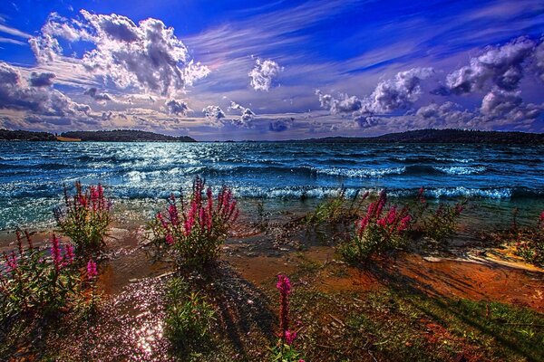 Calme au bord de la mer