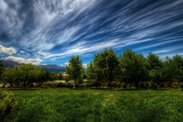 Superb green landscape nature