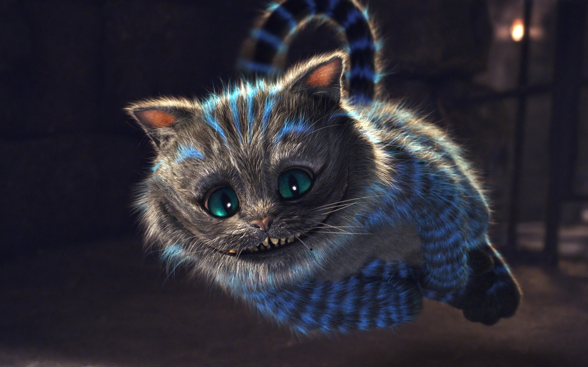 películas mamífero gato animal lindo mascota retrato ojo piel vida silvestre solo pequeño película hollywood historia divertido