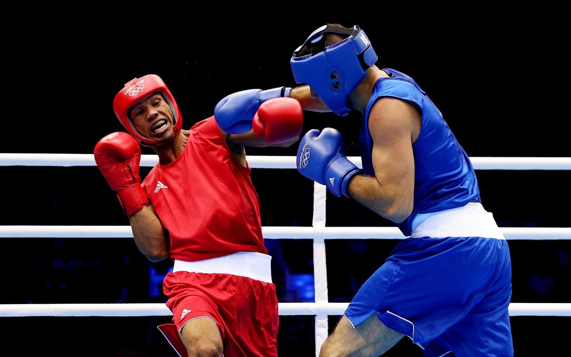 jeux olympiques boxeur gants compétition combat poinçon combattant agression puissance force action ko poing frapper bataille champion cliquez victoire athlète forte karaté londres athelete boîte jeux olympiques