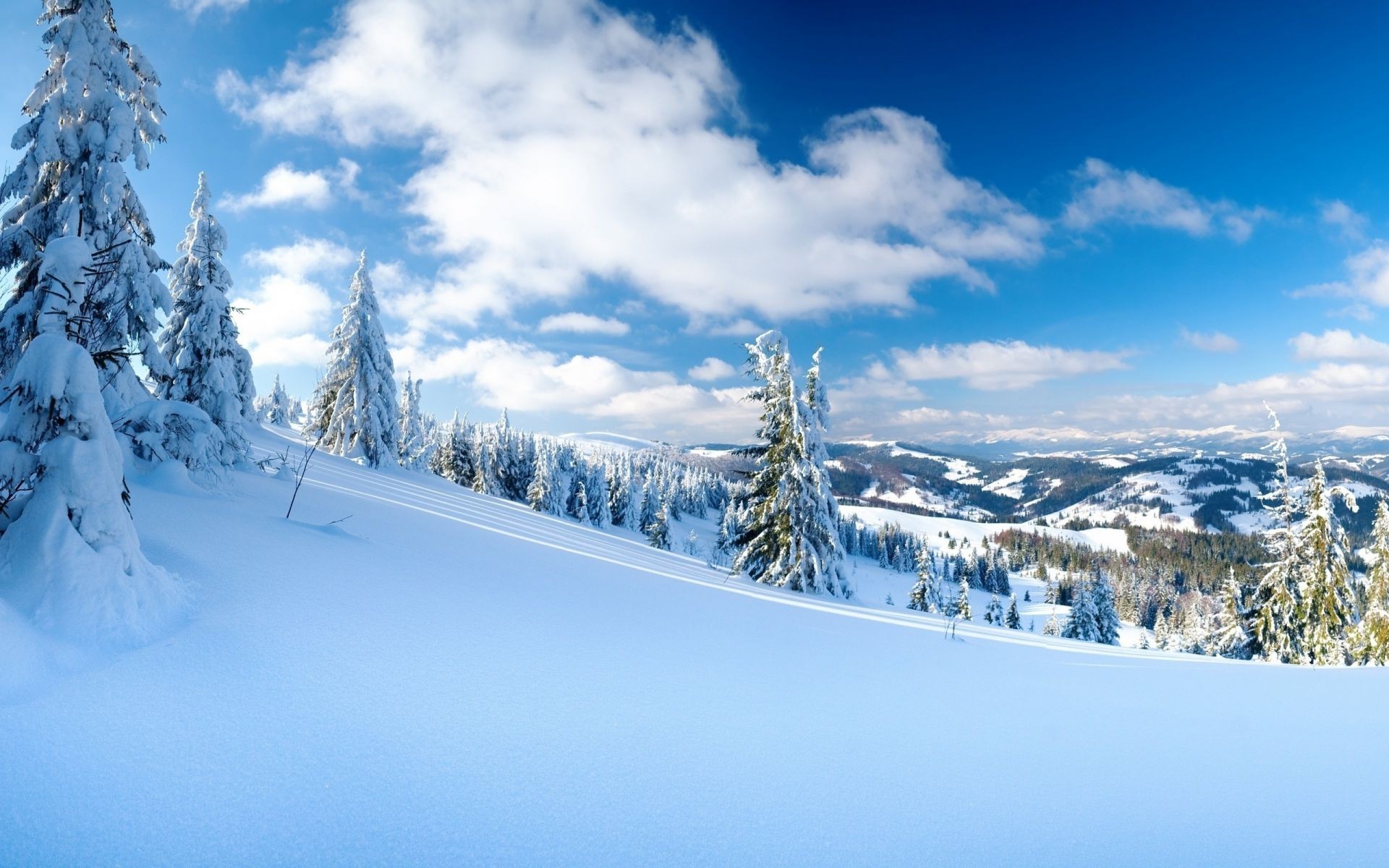 inverno neve freddo montagna legno scenico gelo congelato paesaggio ghiaccio nevoso stagione resort albero polvere collina meteo abete pista bel tempo