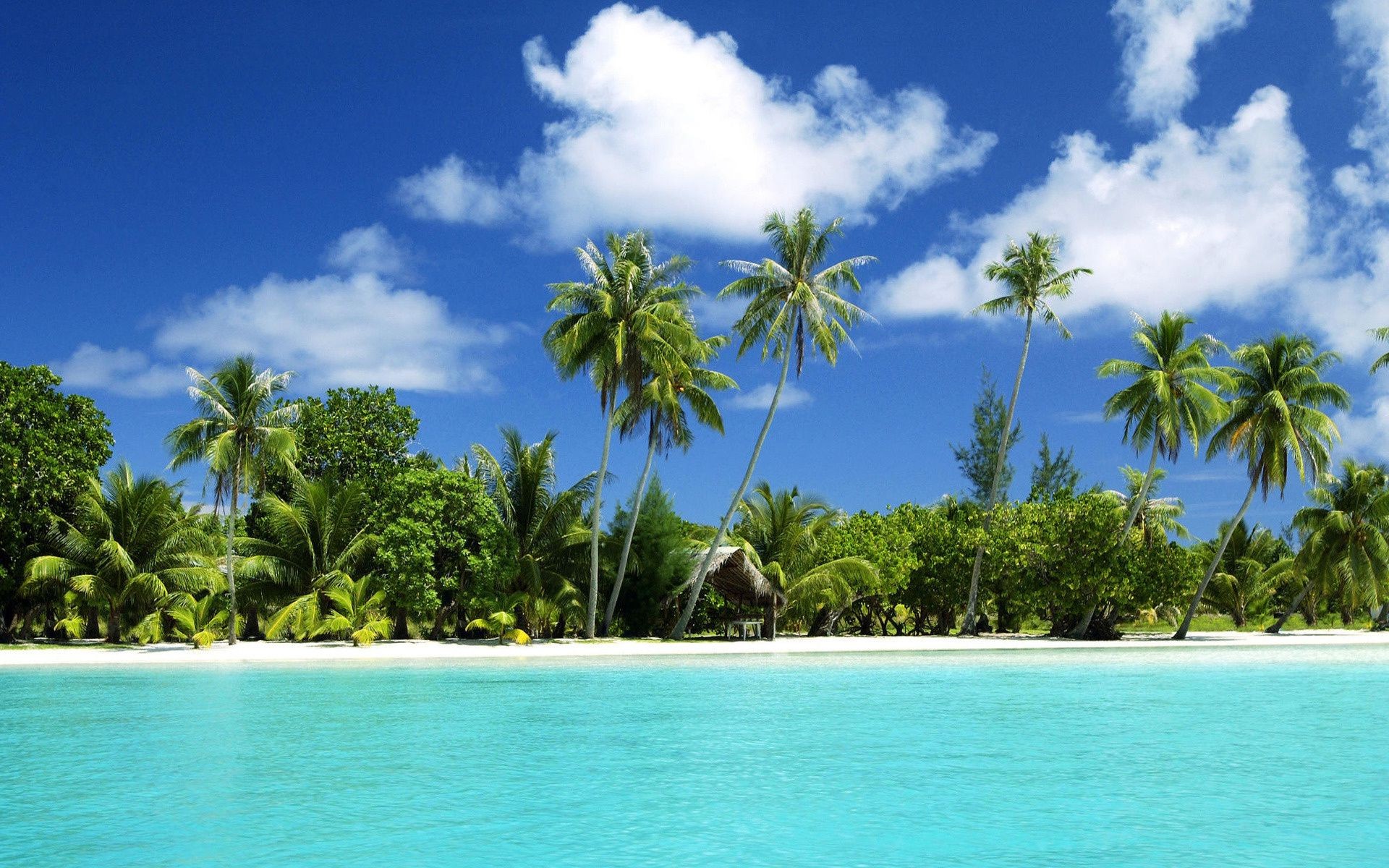 insel tropisch strand insel wasser baum palmen meer sand ozean sommer exotisch reisen landschaft resort idylle paradies kokosnuss sonne himmel