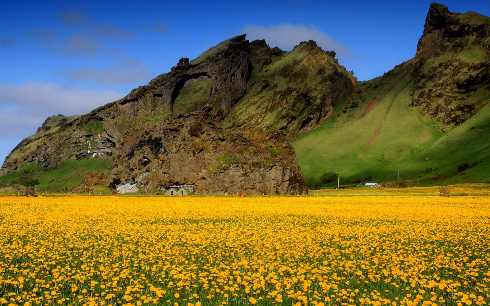 blumen landschaft himmel natur reisen im freien berge sommer landschaftlich feld gras landwirtschaft baum hügel blume sonnenuntergang landschaft wilde blumen hintergrund berge