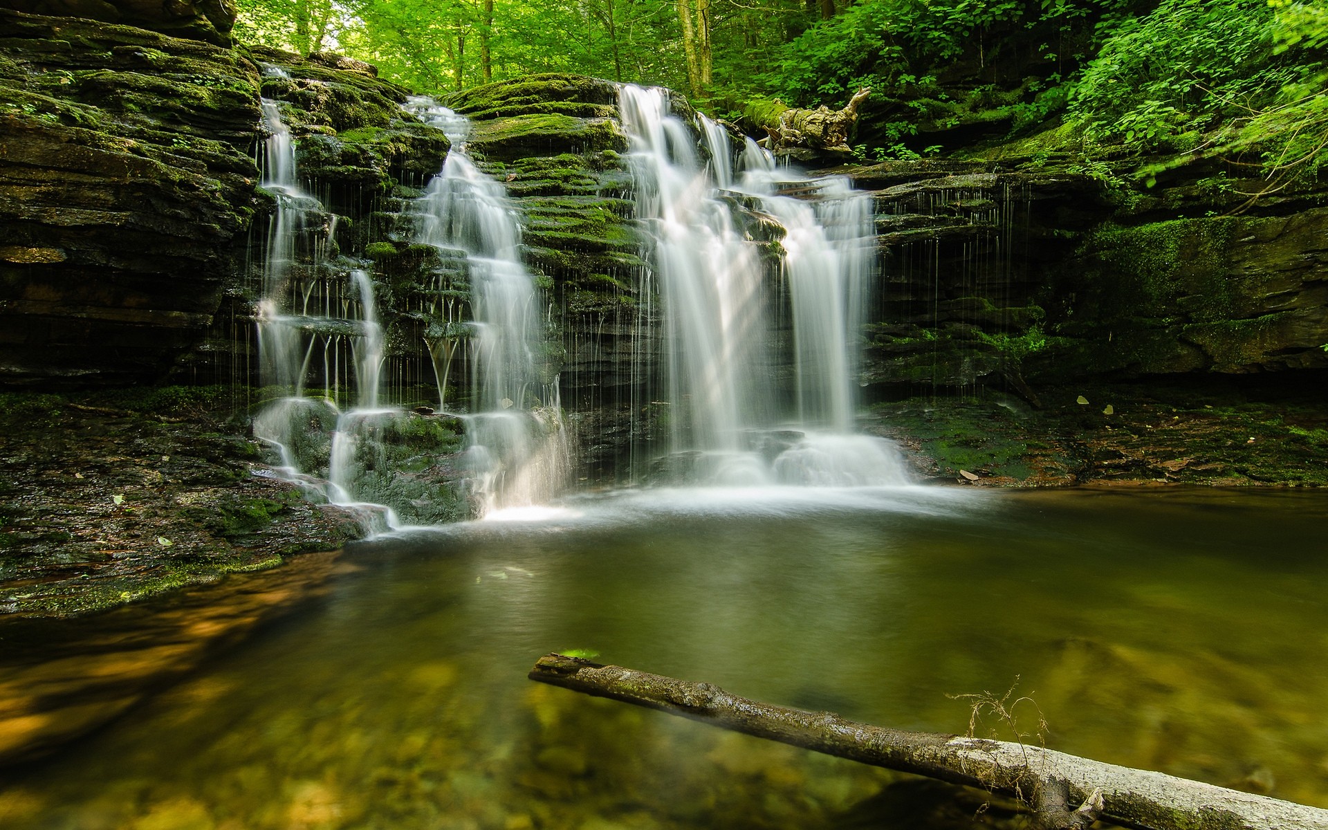 paisaje cascada agua naturaleza corriente río madera roca hoja otoño cascada grito mojado movimiento viajes salvaje al aire libre musgo paisaje corriente fondo bosque