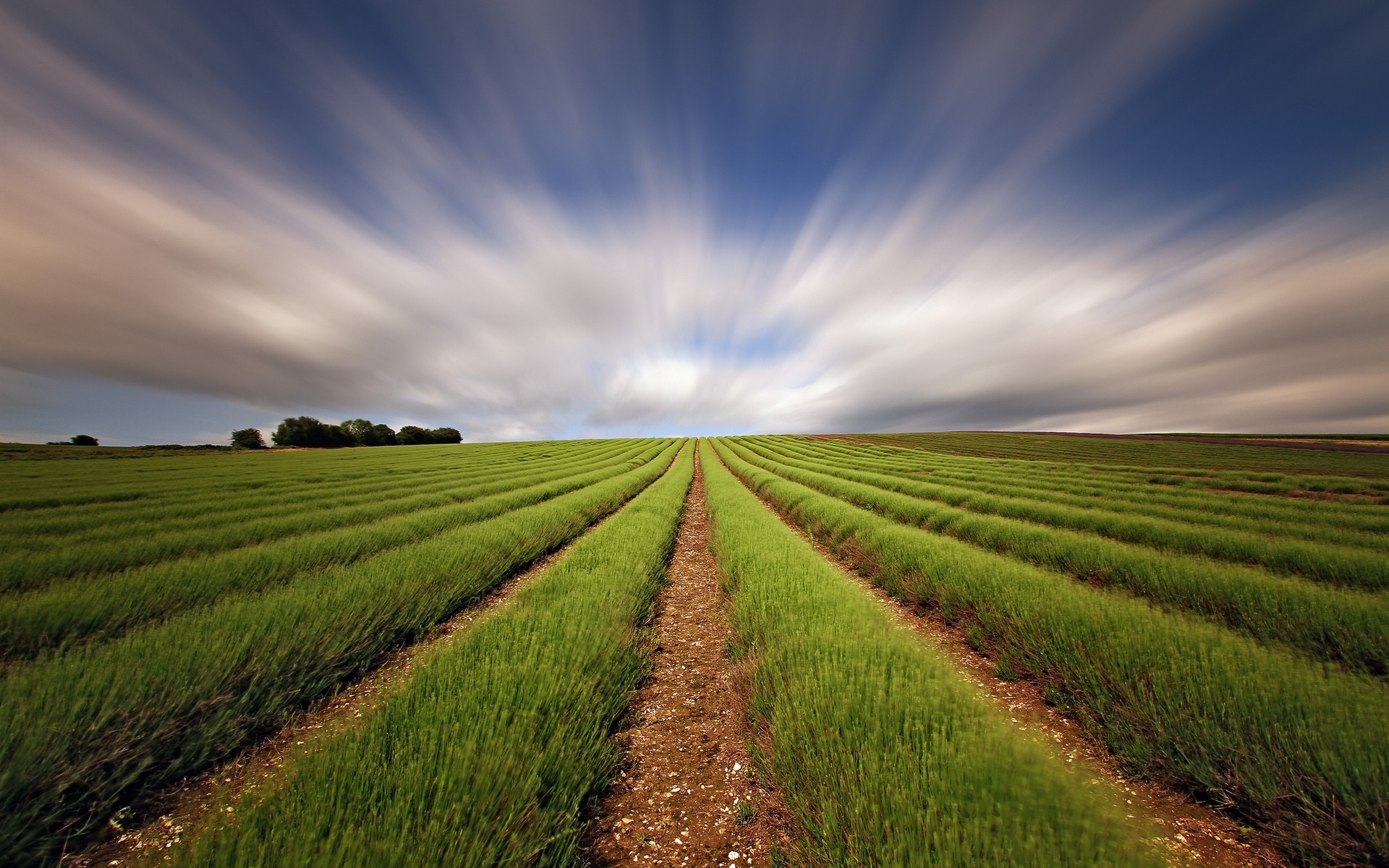 landschaft feld ländlichen landwirtschaft weide bauernhof landschaft natur landschaft himmel ackerland gras wolke boden land sonne sommer wachstum gutes wetter wolken hintergrund