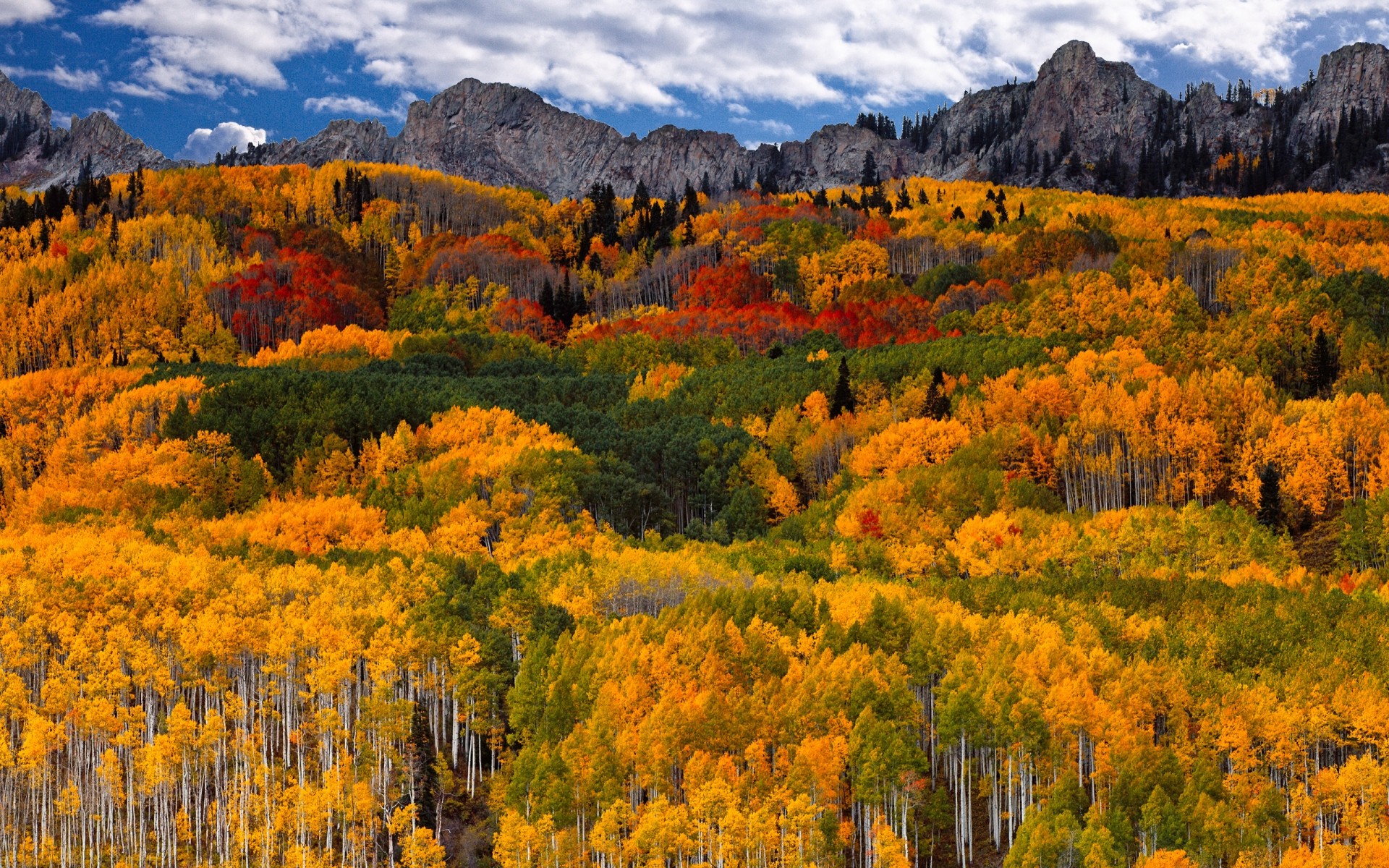 otoño paisaje otoño naturaleza escénico madera montaña al aire libre árbol salvaje hoja paisaje luz del día fondo montañas