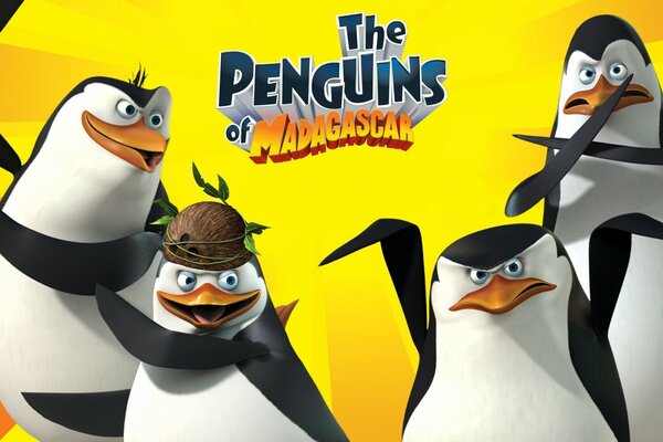 Four penguins from Madagascar