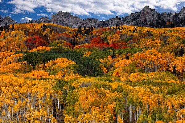 Beautiful autumn landscapes in the mountains