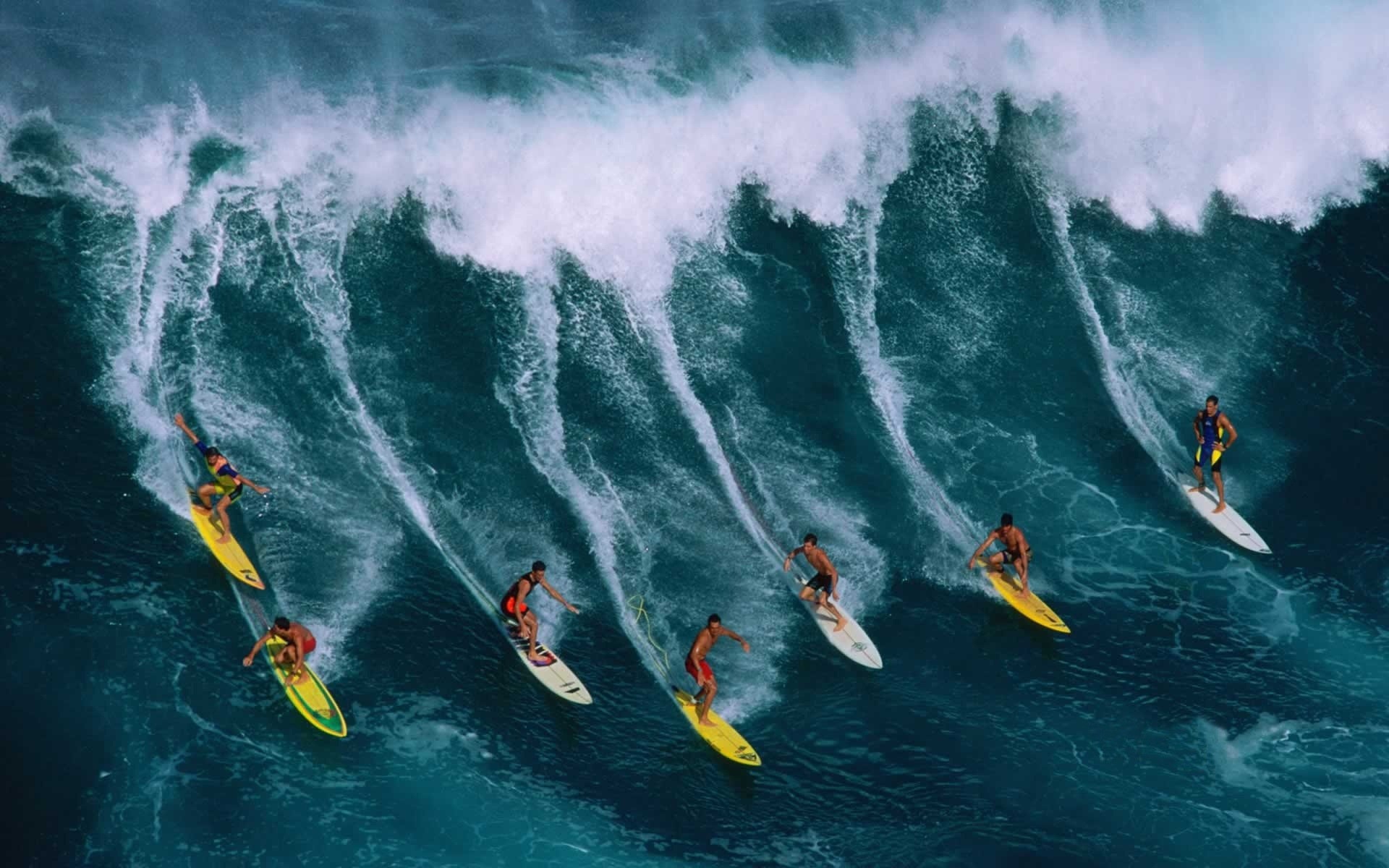 abstração esportes aquáticos ação água surf lazer oceano excitação mar aventura lazer diversão movimento esporte onda caras tubarões