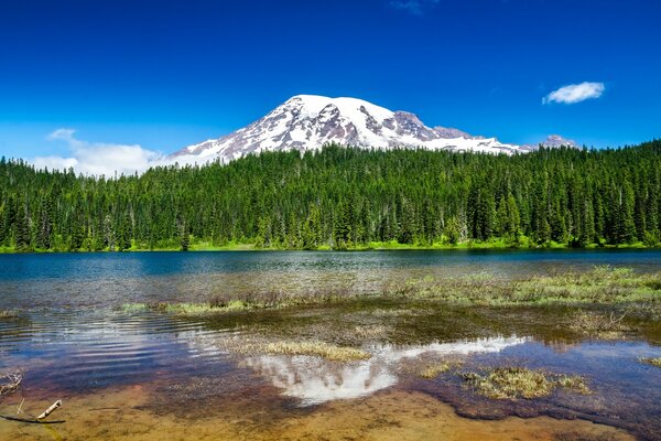 A snow-covered mountain in a blue sky surrounded by a green forest with a lake