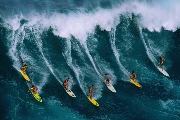 Vague malade et surfeurs audacieux