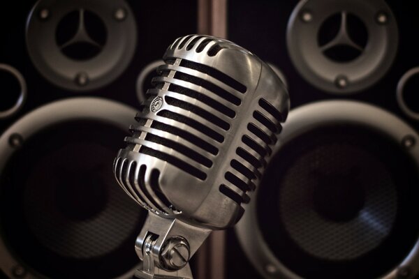 Professional microphone for voice recording