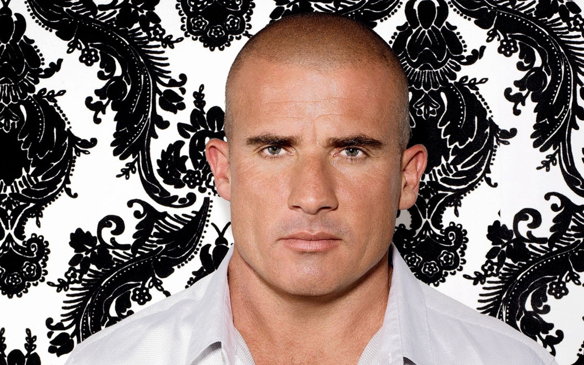 men man portrait adult prison break serious actor